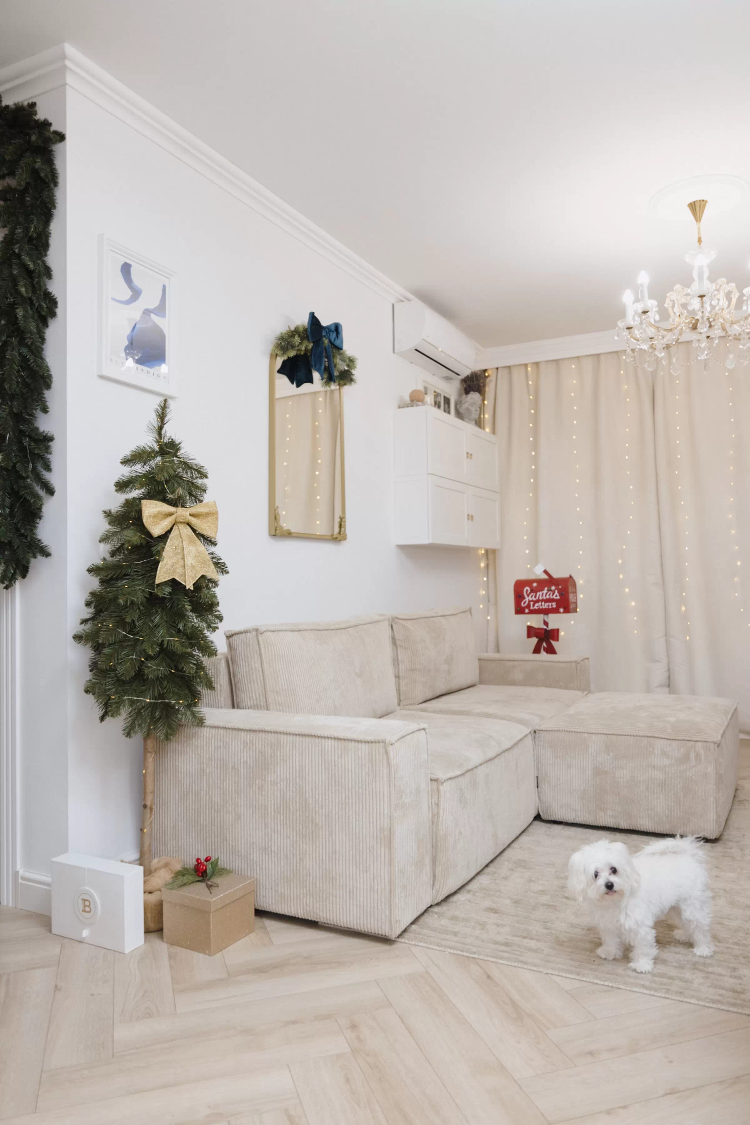 Client Image 781