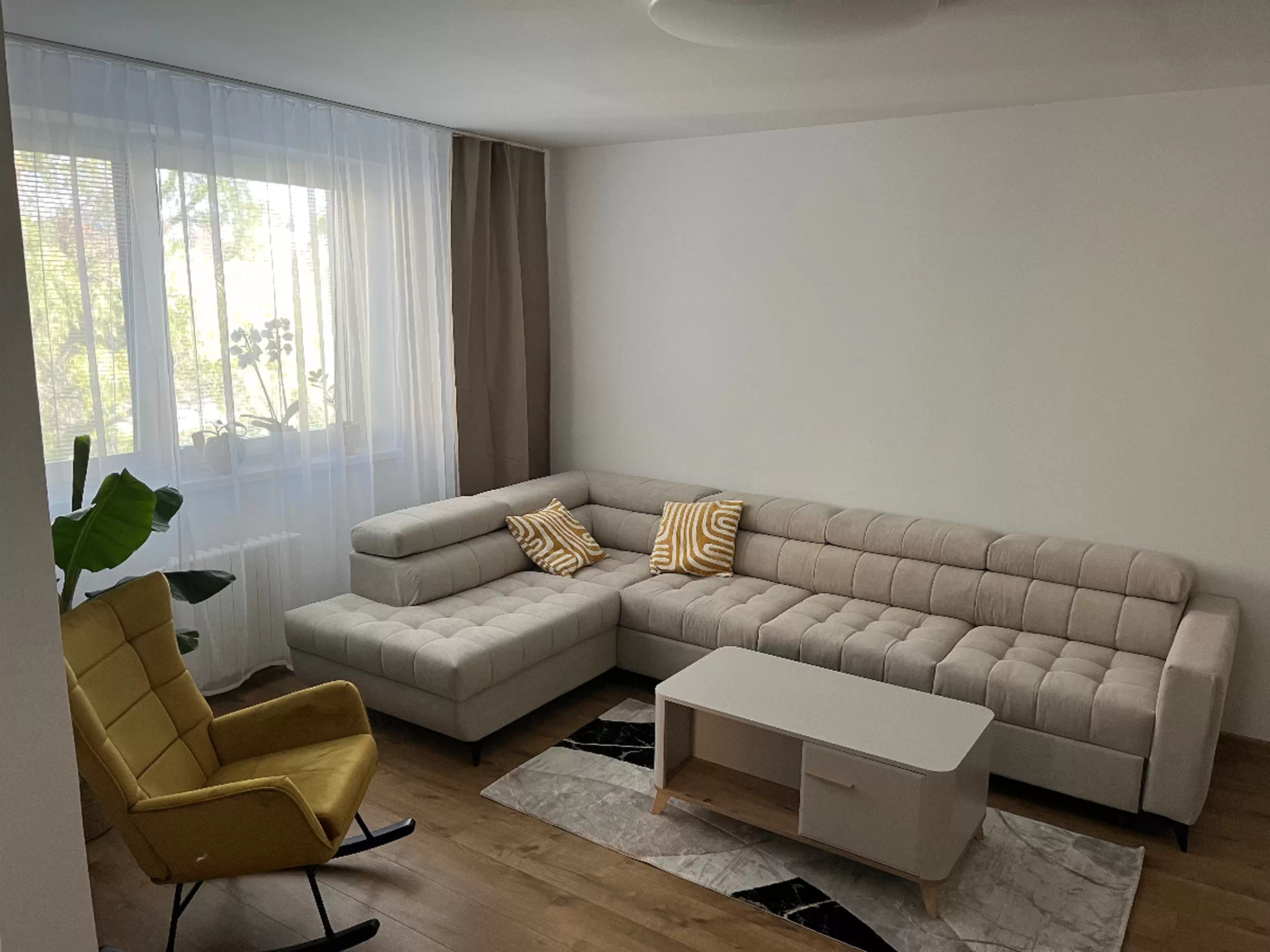 Client Image 1233