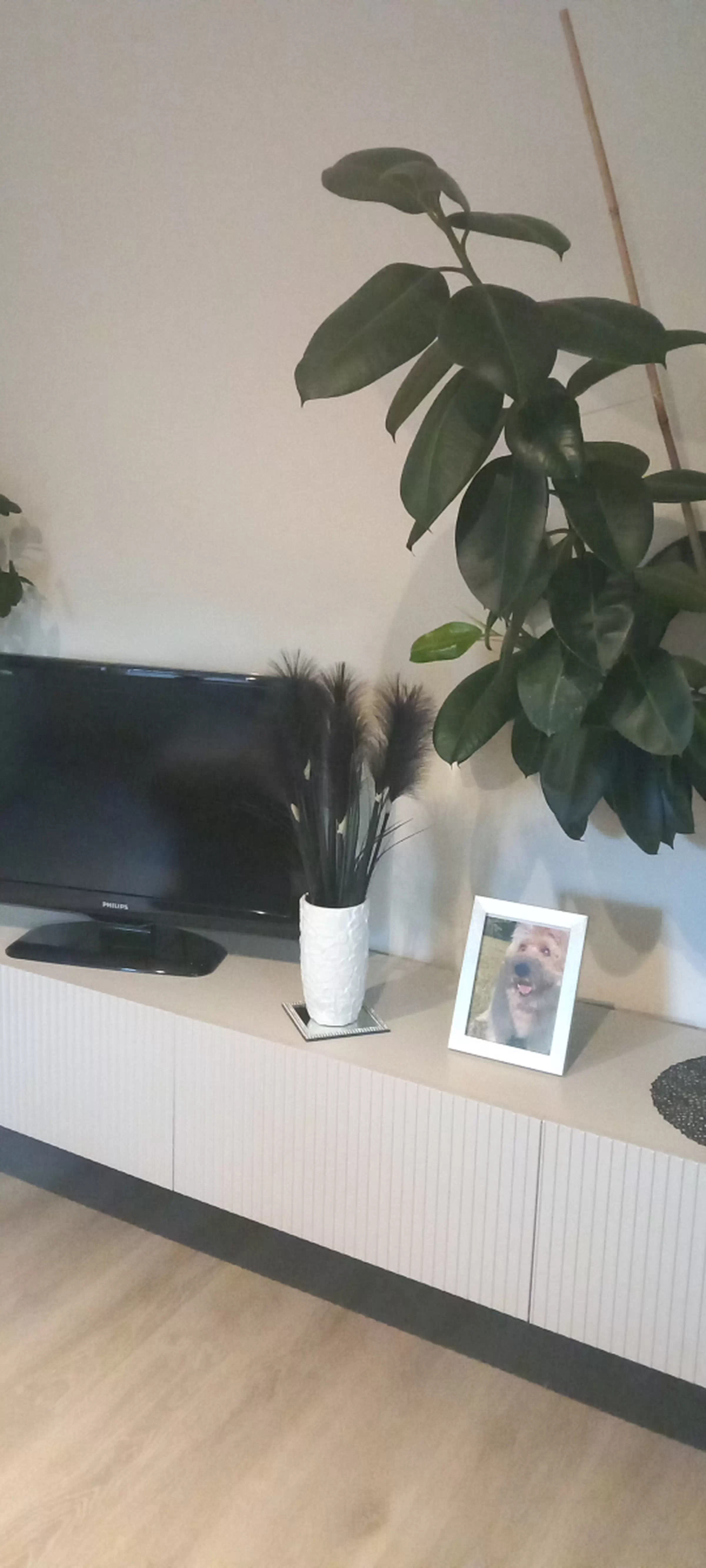 Client Image 1158