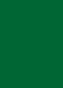 V matnej zelenej farbe - lak